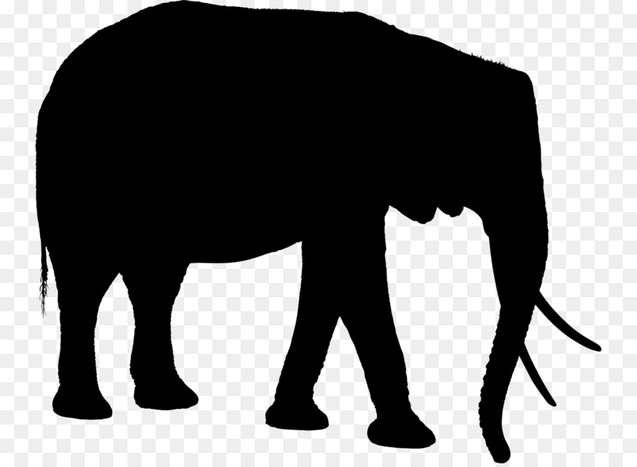 Siluet Mammoth，Prasejarah PNG