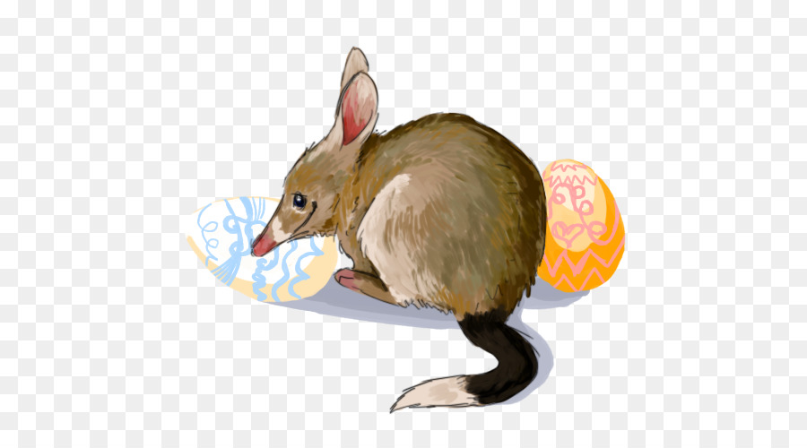 Tikus，Mouse Komputer PNG