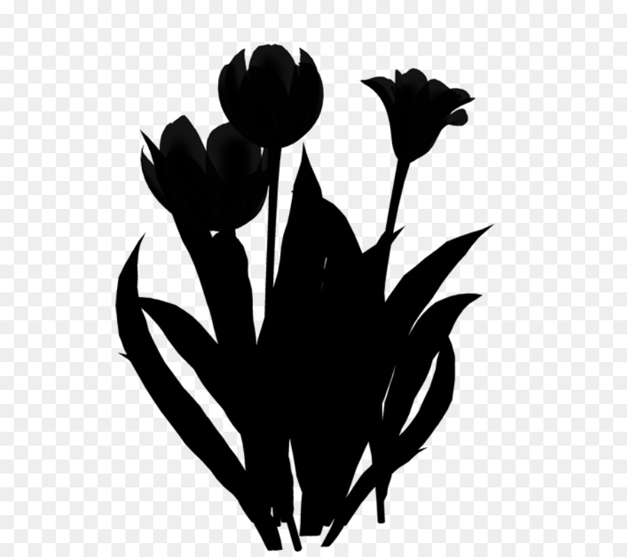 101 Gambar Siluet Bunga Tulip Paling Bagus