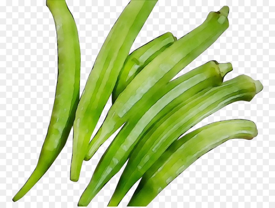 Okra，Hijau PNG