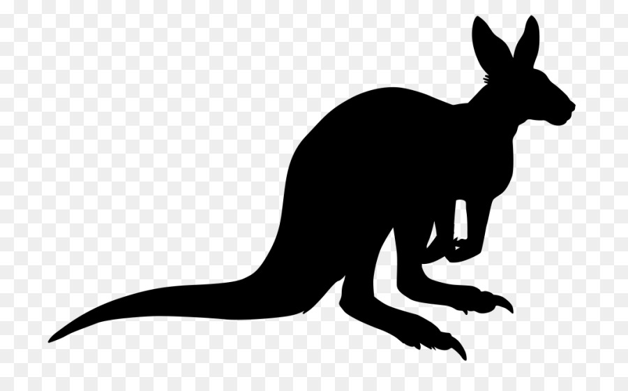 Kanguru，Rubah Merah PNG