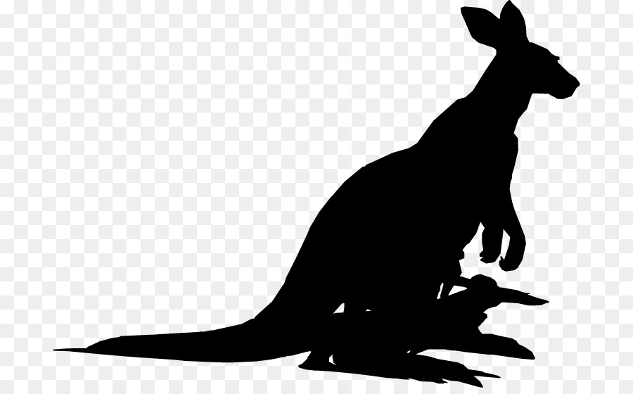 Kanguru，Anjing PNG