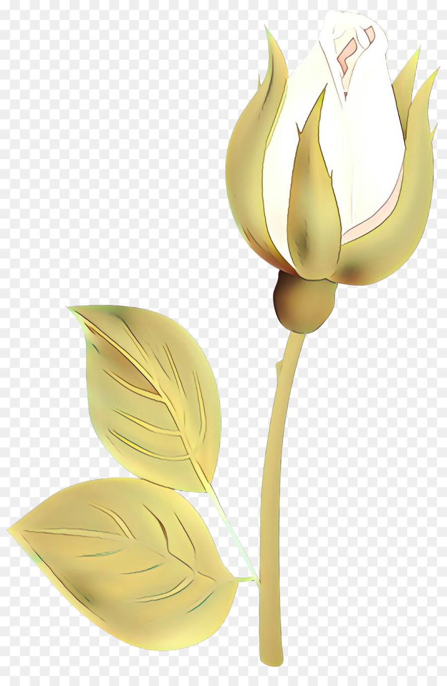 Tulip，Bunga Potong PNG