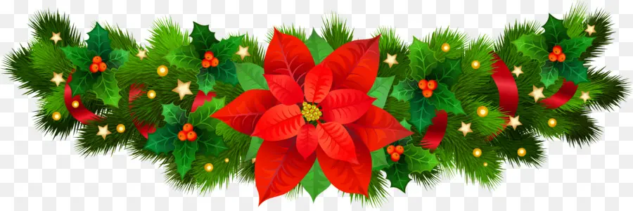 Poinsettia，Perbatasan Dan Frame PNG