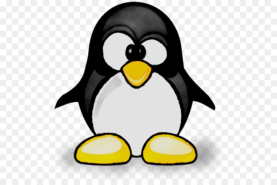 Penguin，Burung PNG