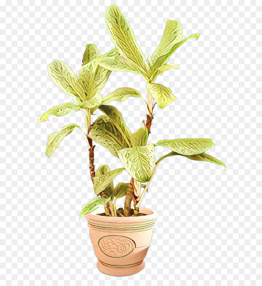 Tanaman Dalam Pot，Daun Daun PNG