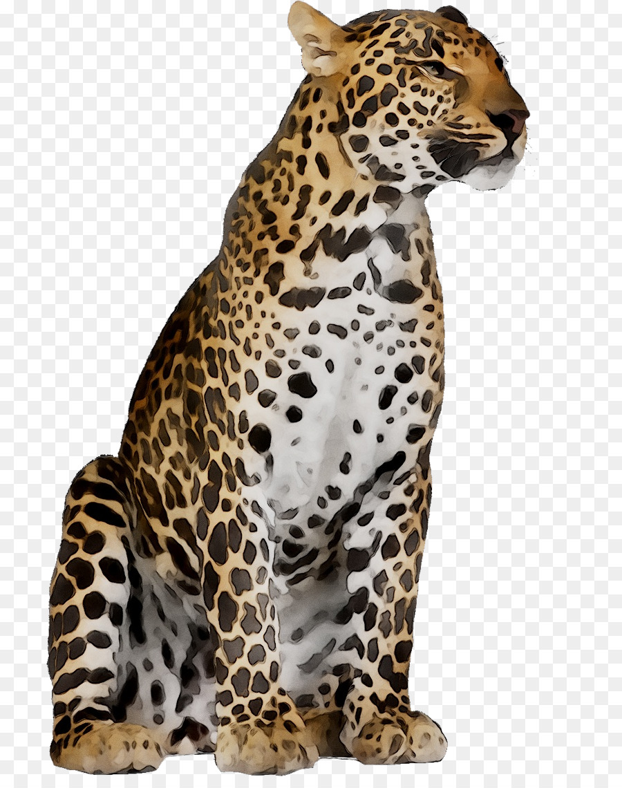 Jaguar，Sepatu Cheetah PNG