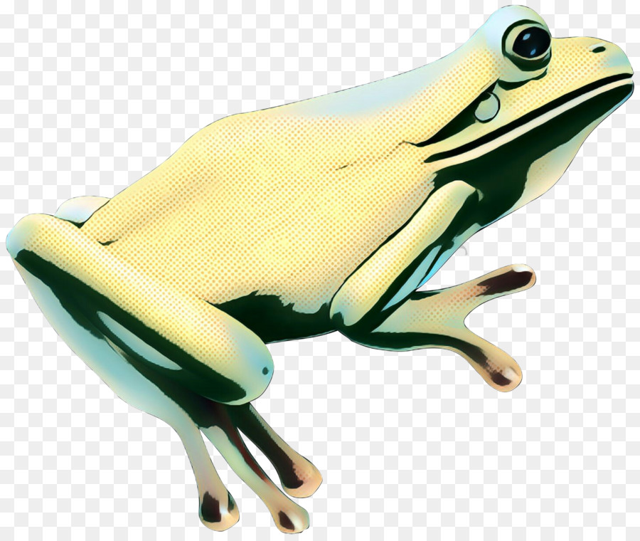 Katak Kuning，Amfibi PNG