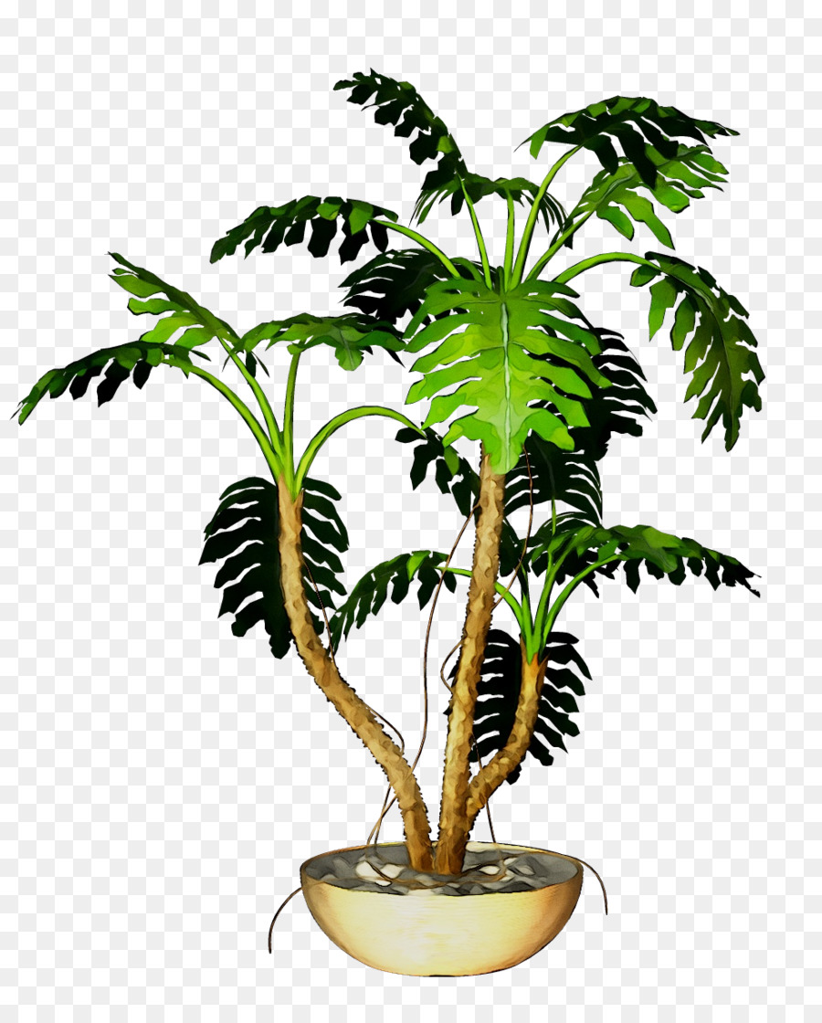 Pot Bunga，Pohon PNG