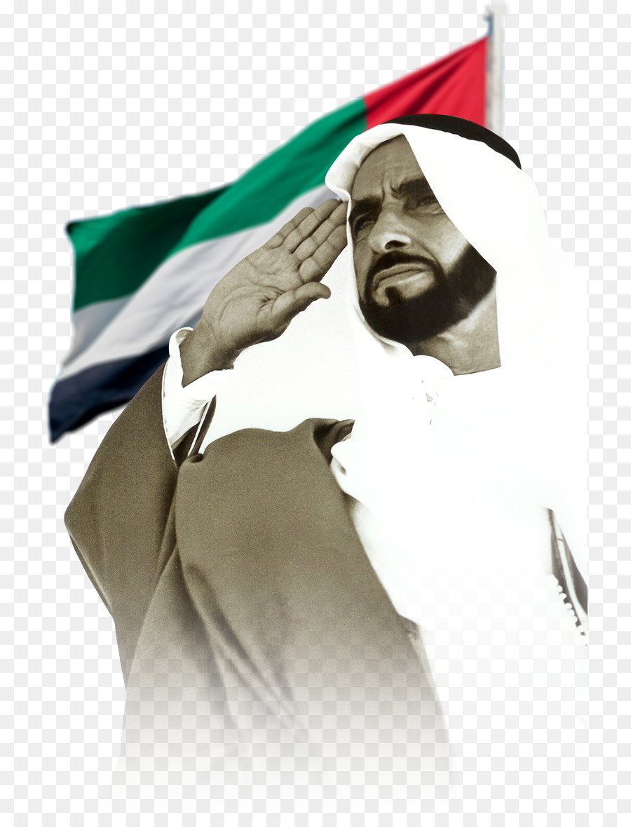 Tahun Zayed，Sheikh Zayed Road PNG