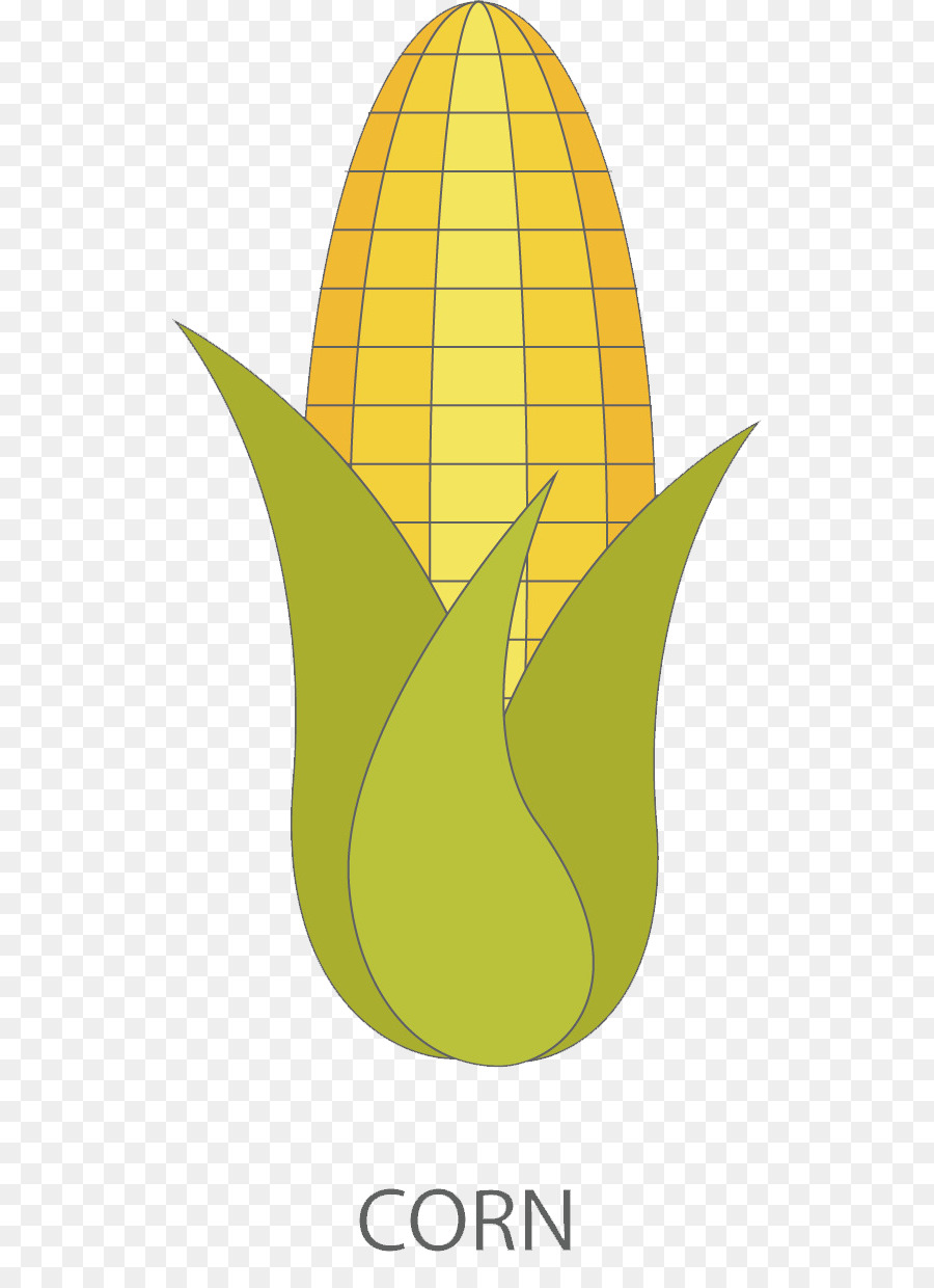 Jagung，Kartun PNG