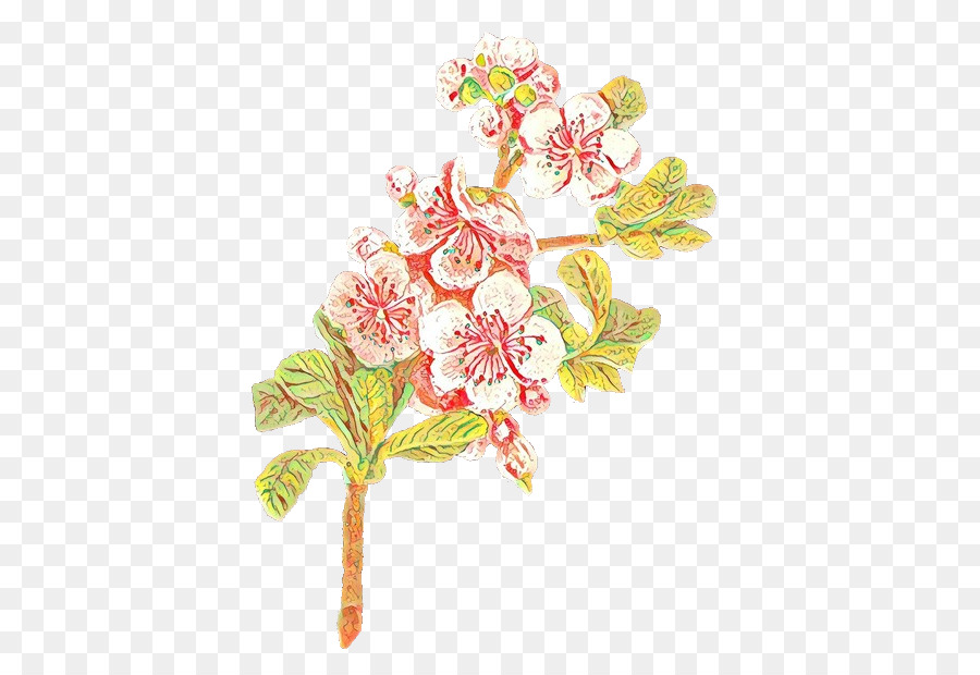 Blossom，Seni PNG