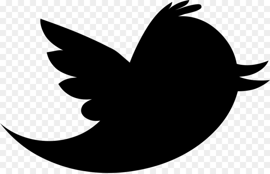 Burung Hitam，Twitter PNG