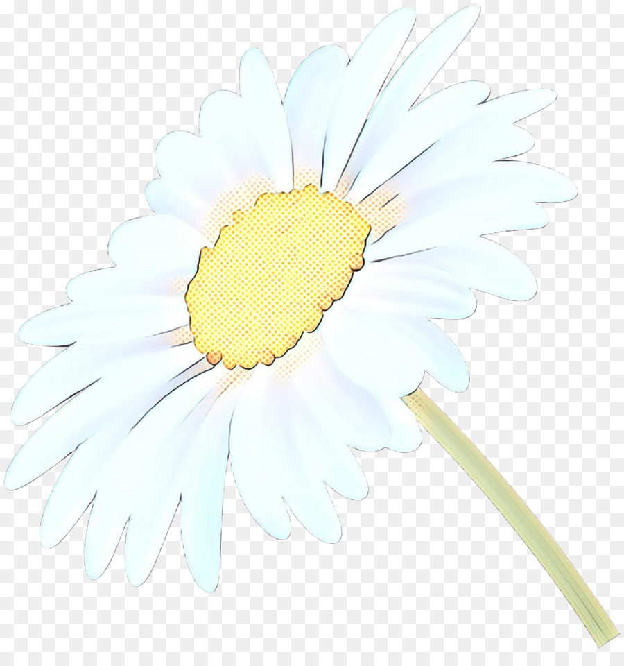 Daisy Ketutu，Transvaal Daisy PNG