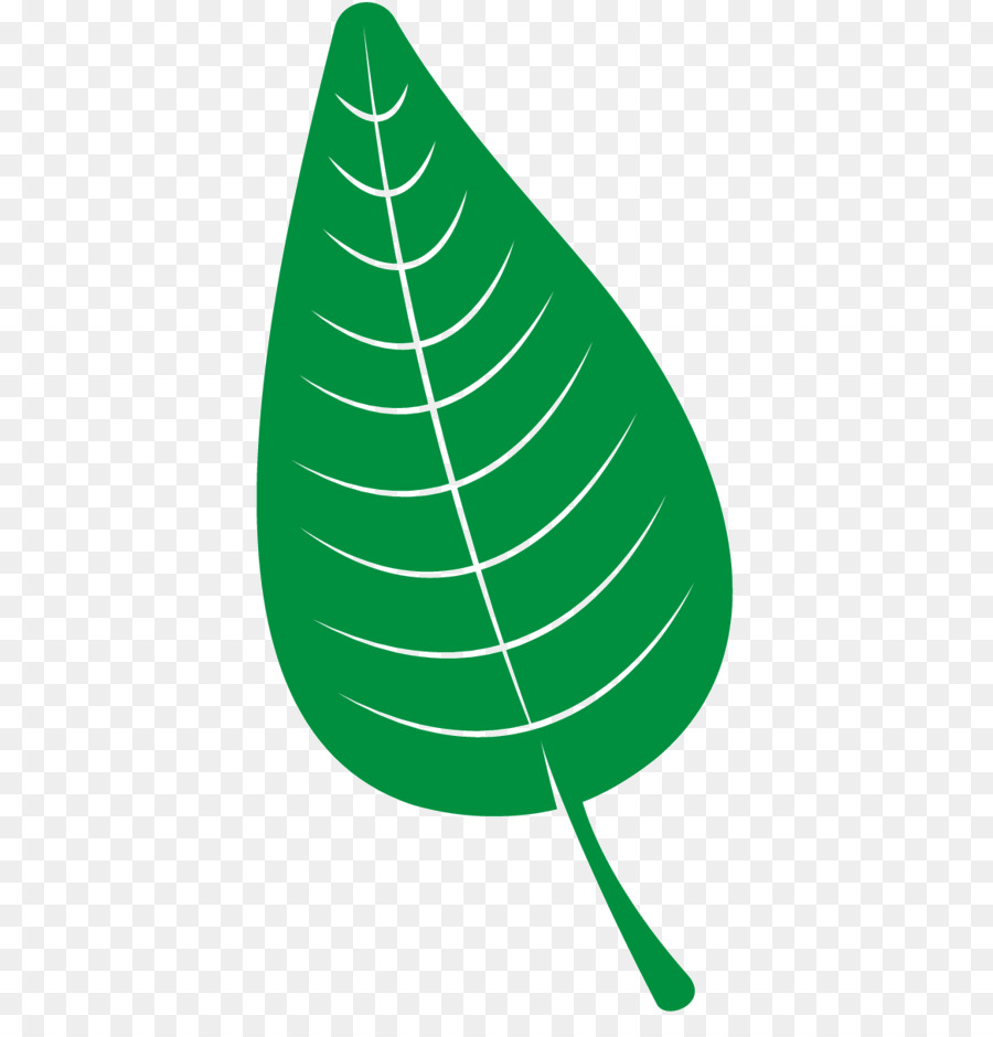 Daun，Hijau PNG