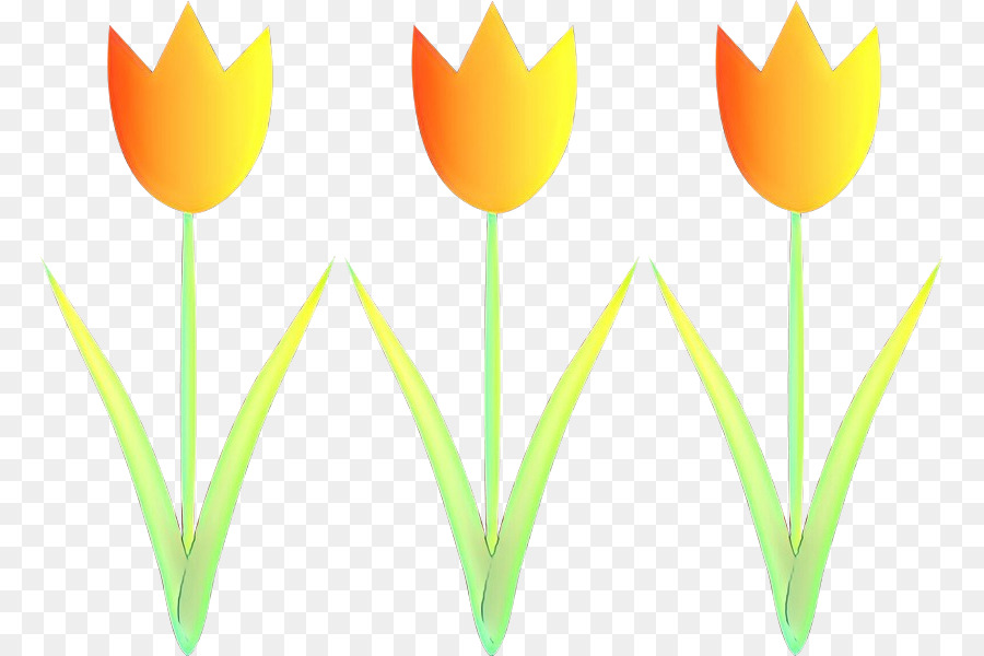 Tulip，Pabrik Batang PNG