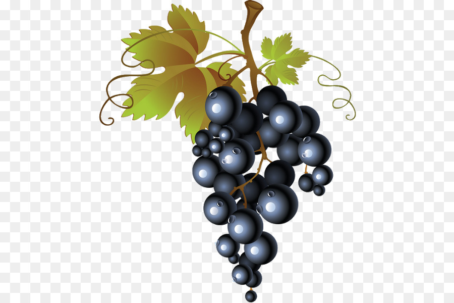 Umum Anggur Anggur，Anggur PNG