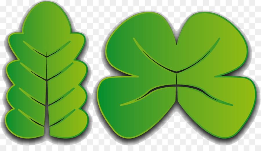 Shamrock，Daun PNG