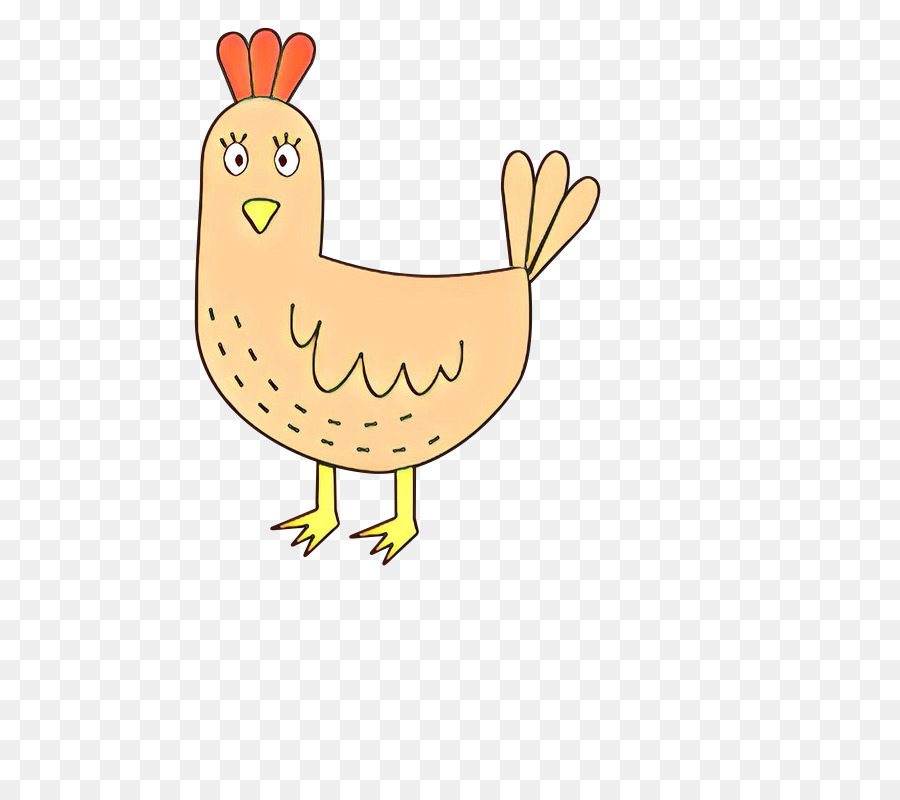 Ayam，Fauna PNG