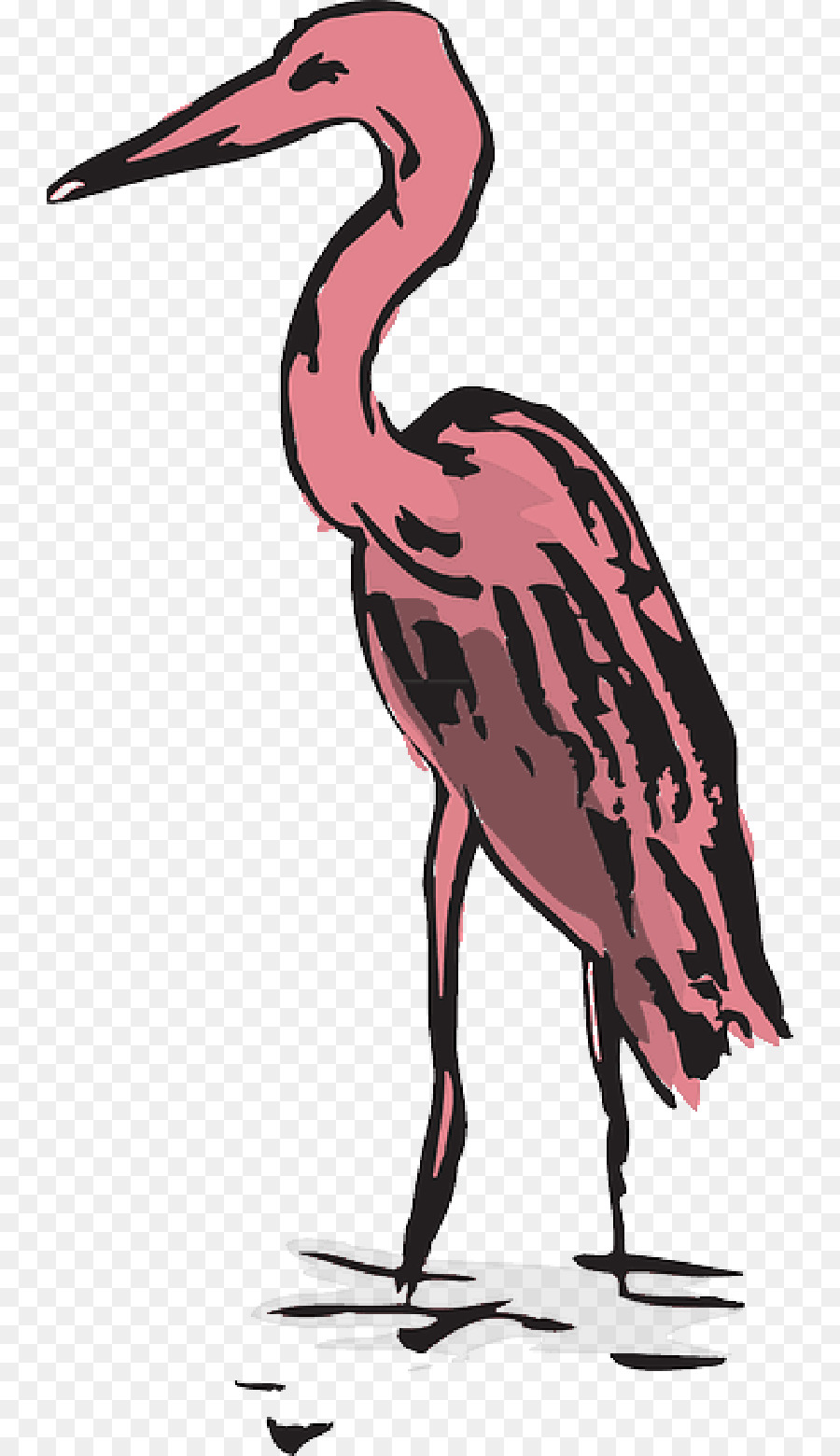 Crane，Video PNG