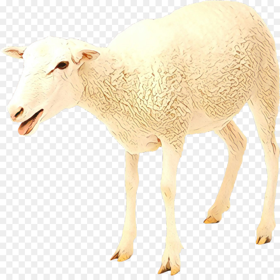 Domba，Kambing PNG
