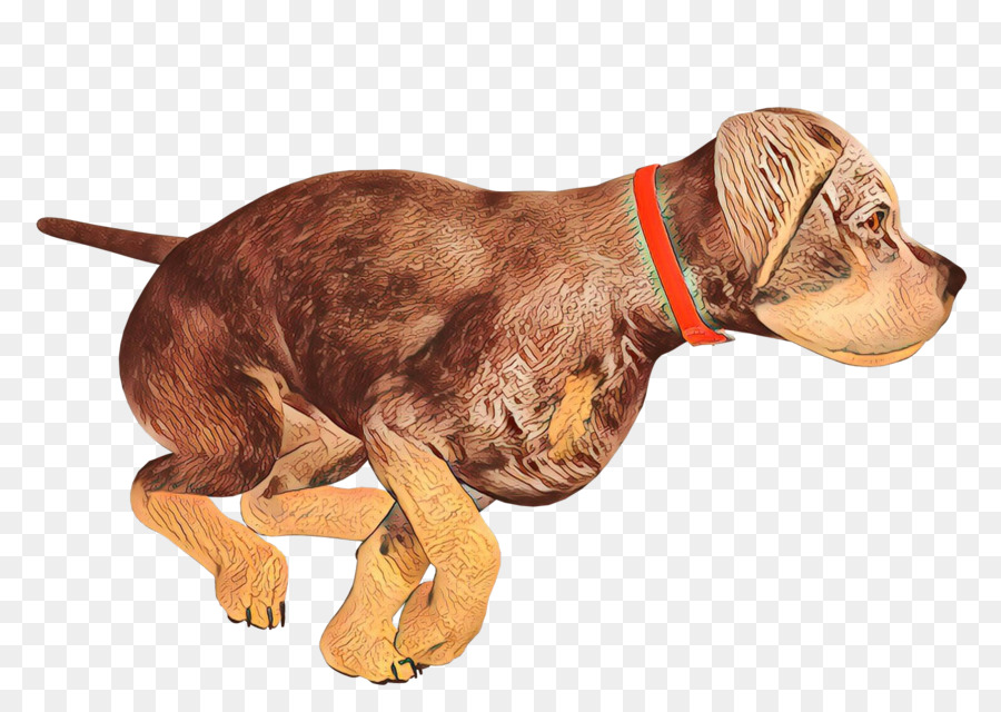 Anak Anjing，Anjing PNG