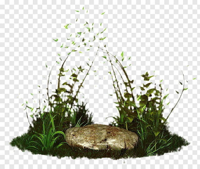 Rumput, Pohon, Ramuan gambar png