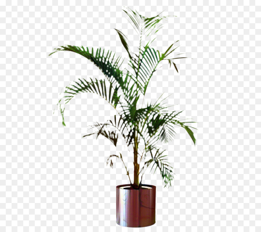 Pohon Pohon Palem，Pot Bunga PNG