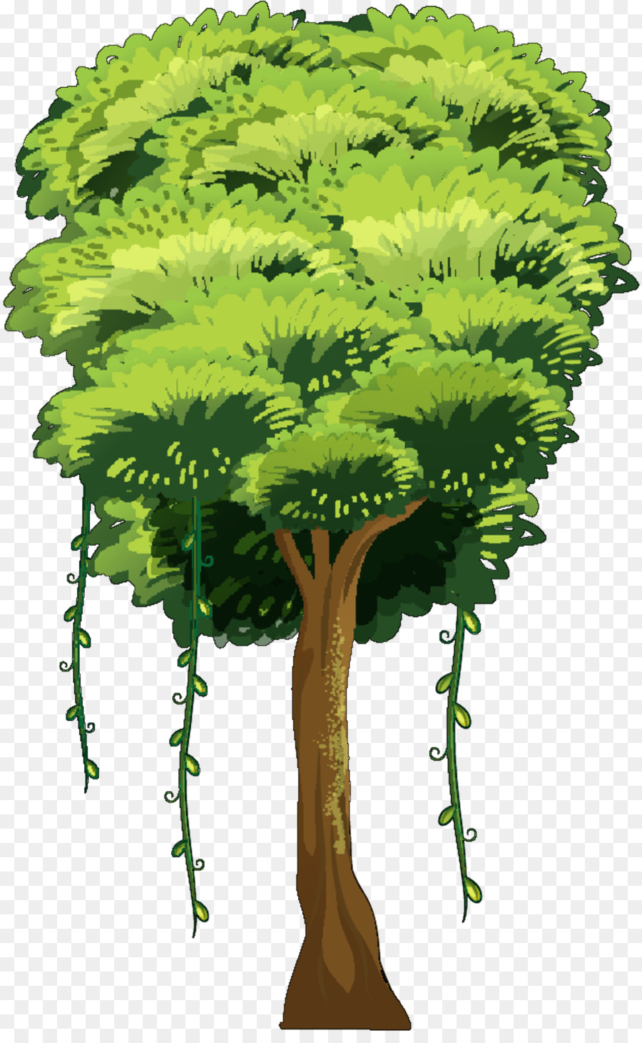 Pohon，Elm PNG
