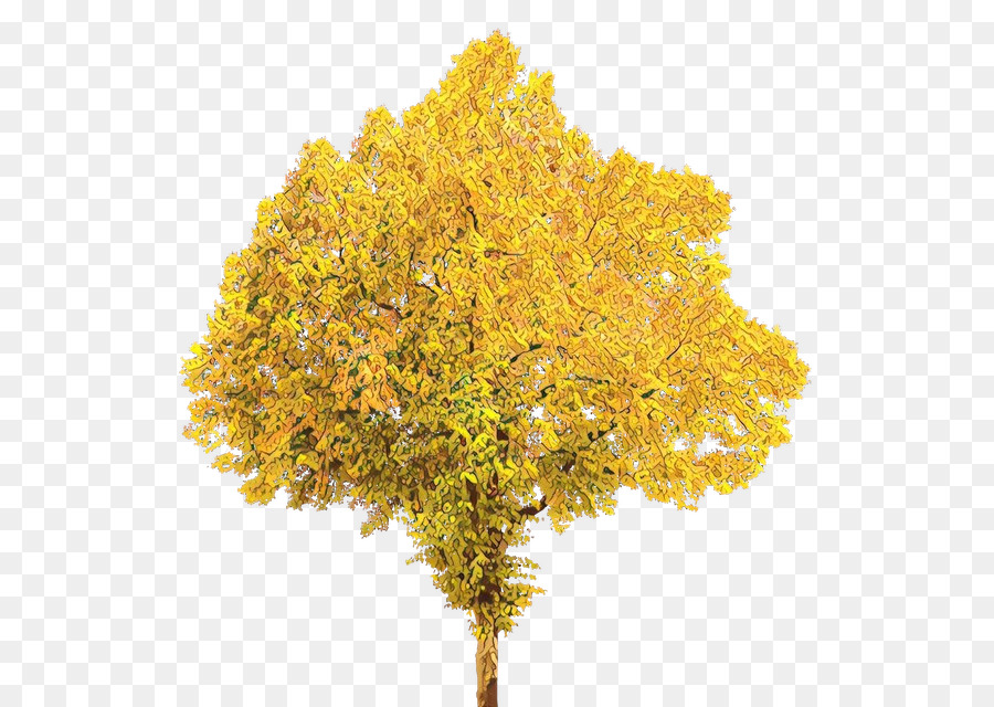 Pohon，Musim Gugur PNG