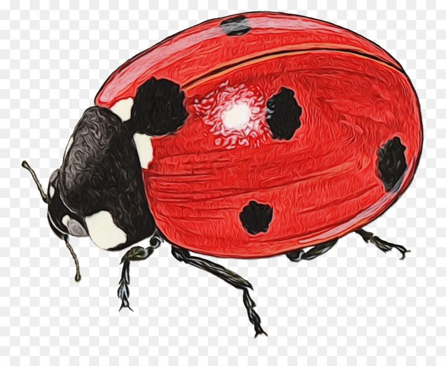 Helm Sepeda, Lady Bird gambar png