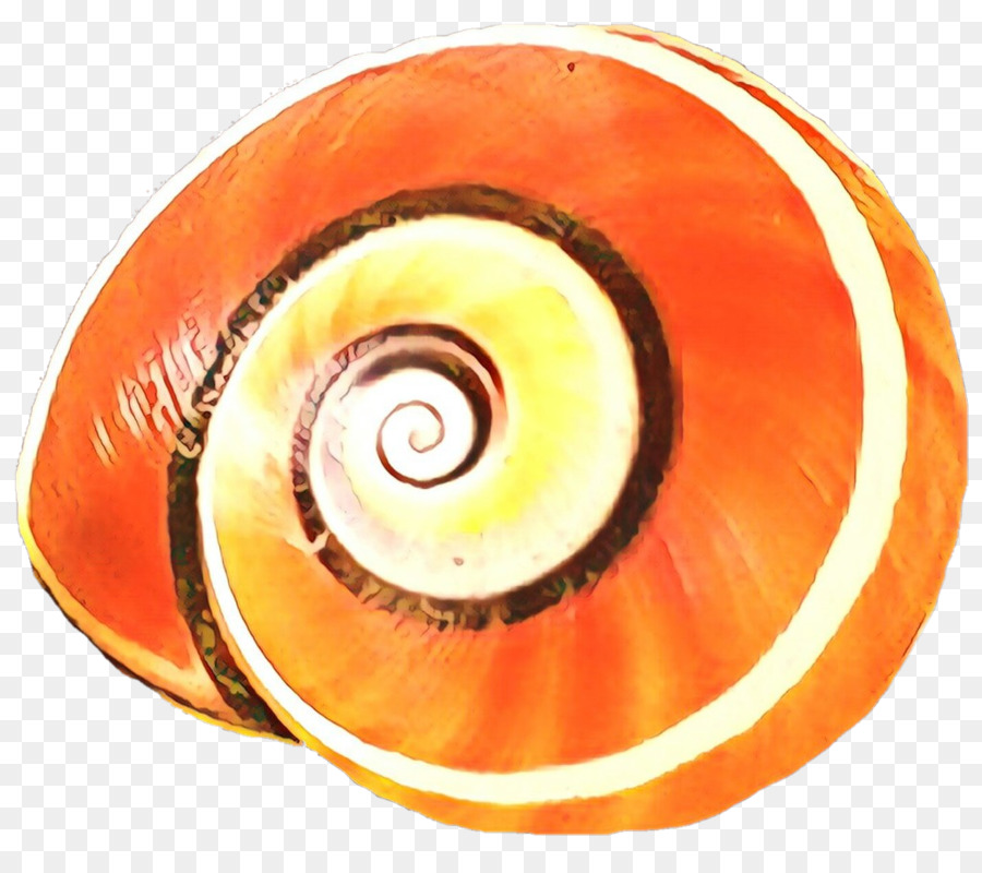 Nautiluses，Mata PNG