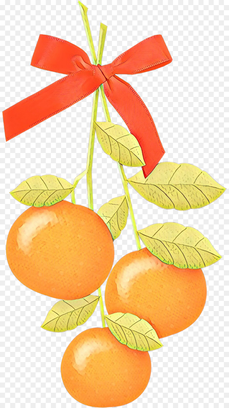 Clementine，Jeruk Mandarin PNG