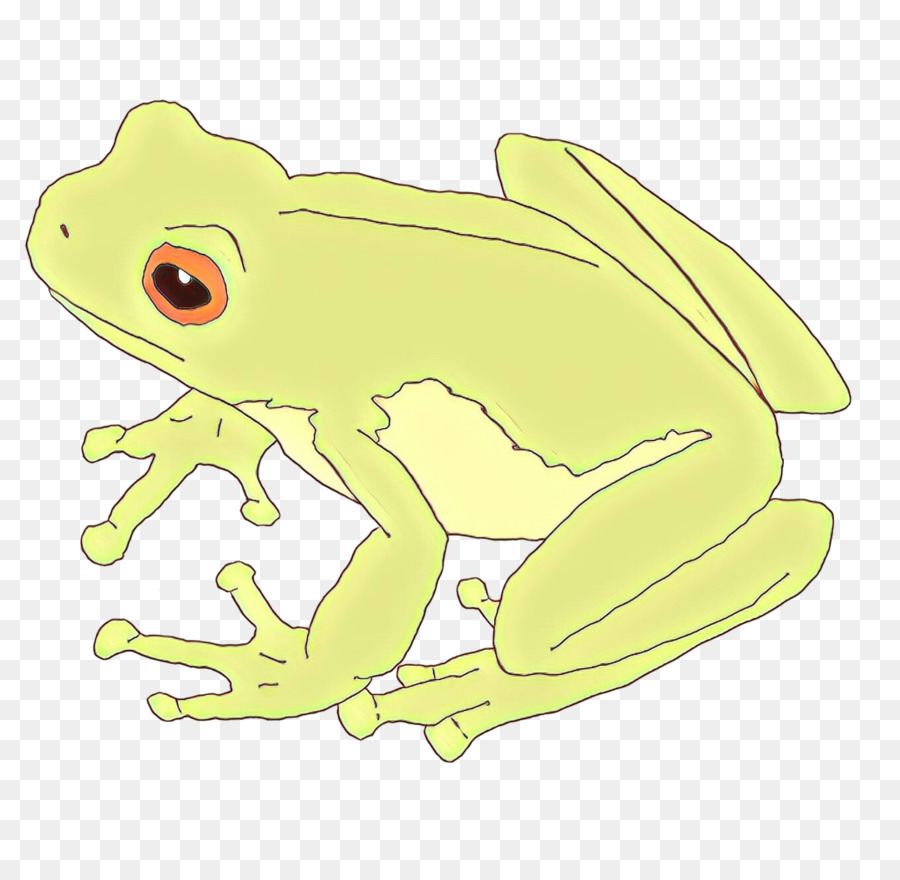 Katak Kartun Hijau，Hewan PNG