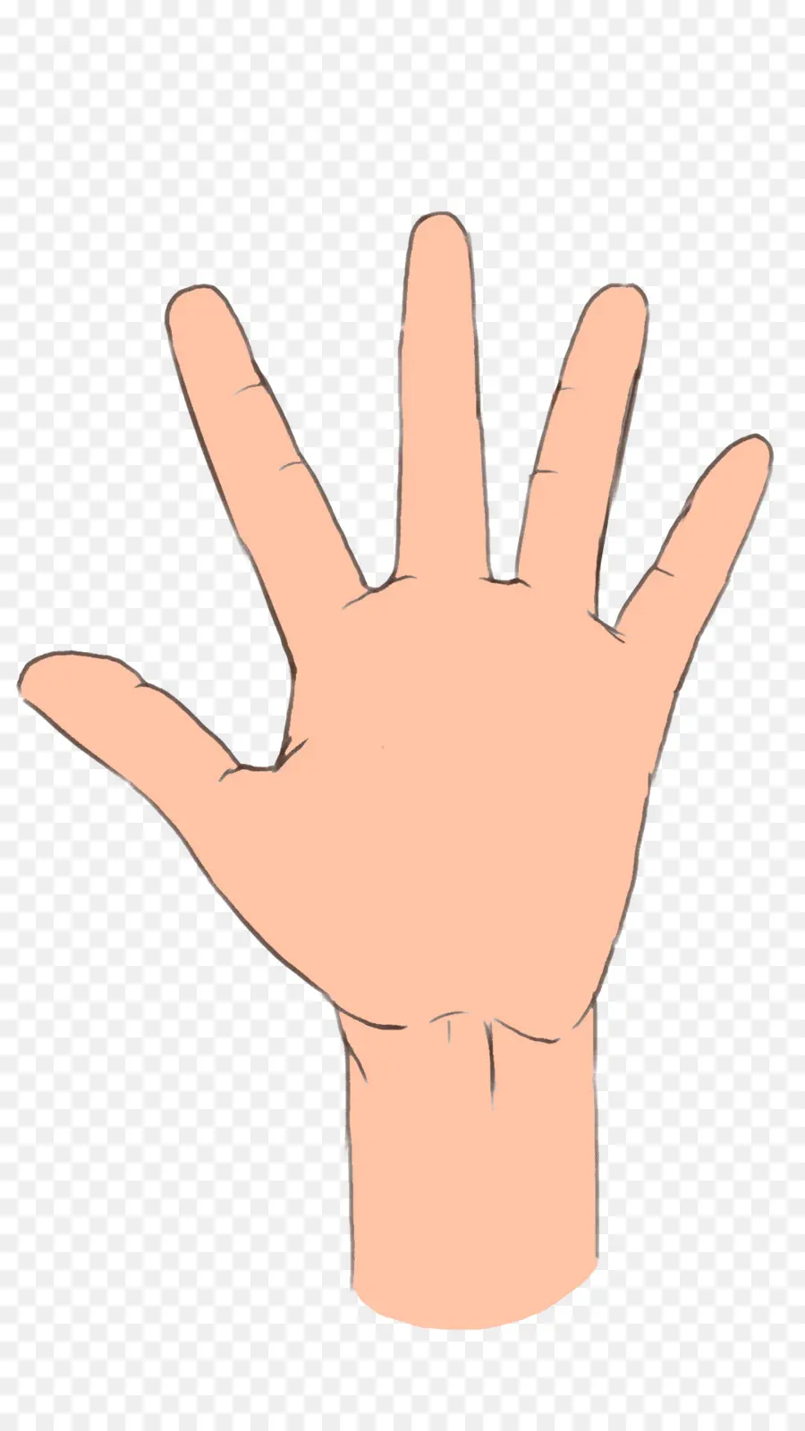 Palmistry，Tangan PNG