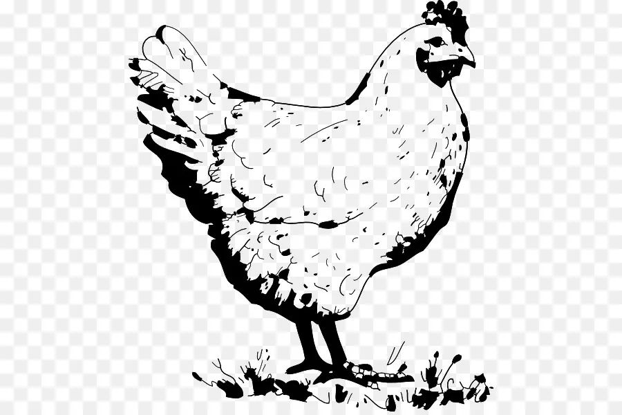 Ayam，Kerbau Sayap PNG