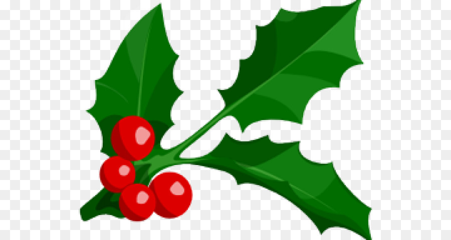 Holly，Daun Daun PNG