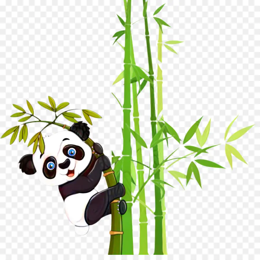 Panda，Bambu PNG