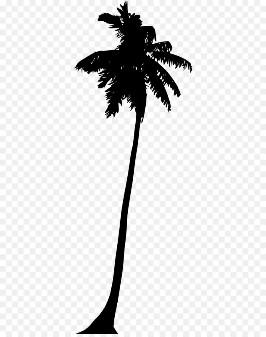 Asia Palmyra Palm，Siluet PNG