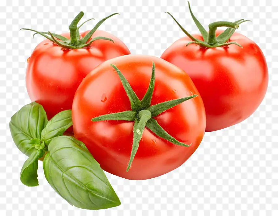 Roma Tomat，Sayuran PNG