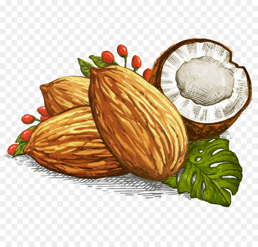 Macadamia，Kacang Macadamia PNG