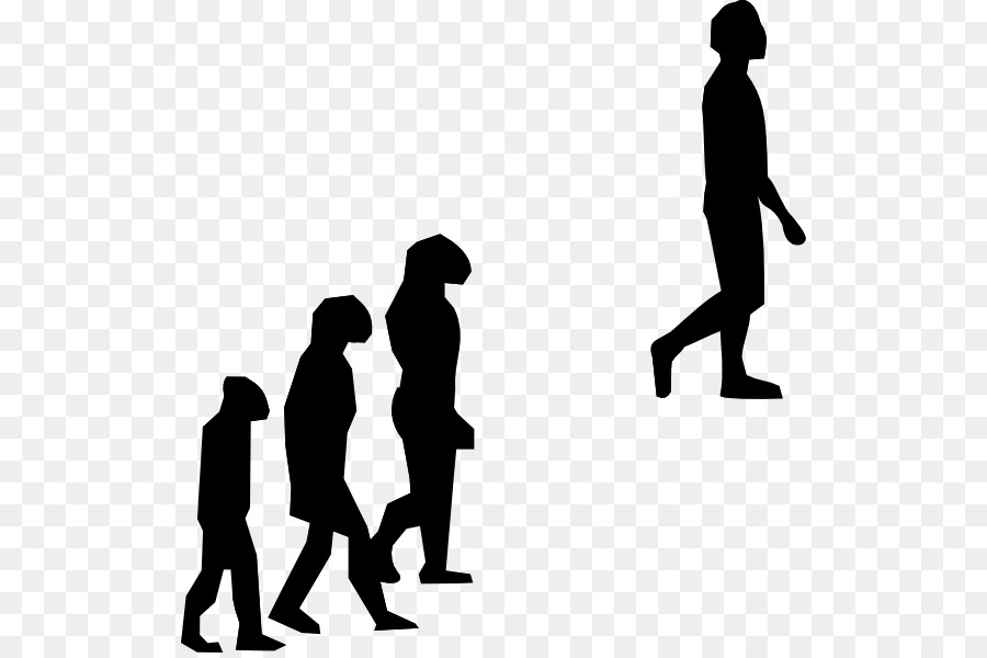 Evolusi Manusia，Evolusi PNG