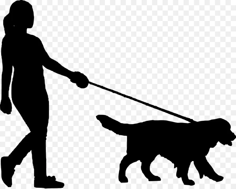 Anjing，Anjing Berjalan PNG
