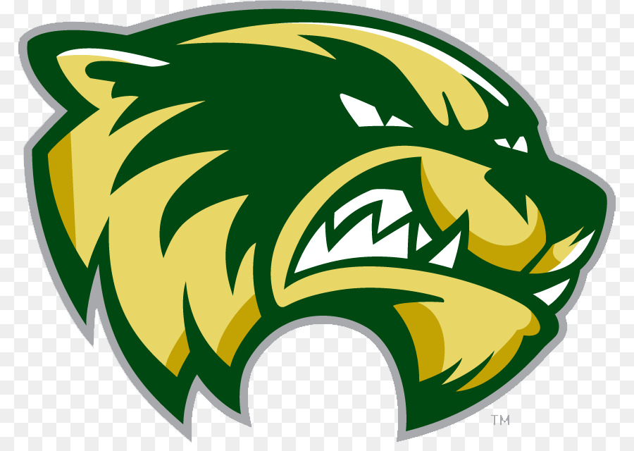 Universitas Utah Valley，Utah Valley Wolverines Mens Basketball PNG