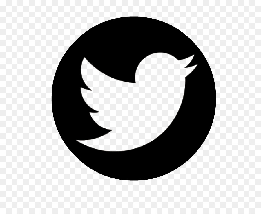 Logo Twitter，Media Sosial PNG