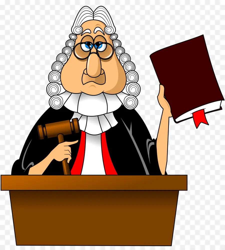Hakim，Pengadilan PNG