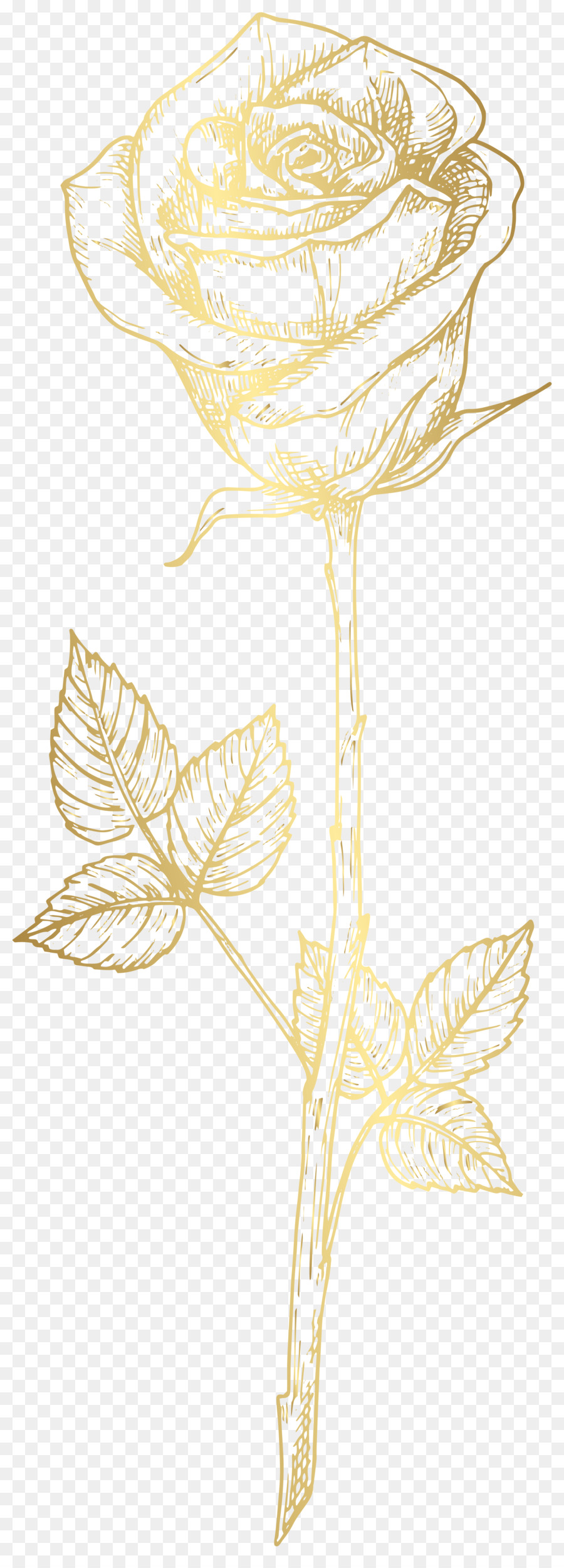 Desain Bunga，Daun PNG