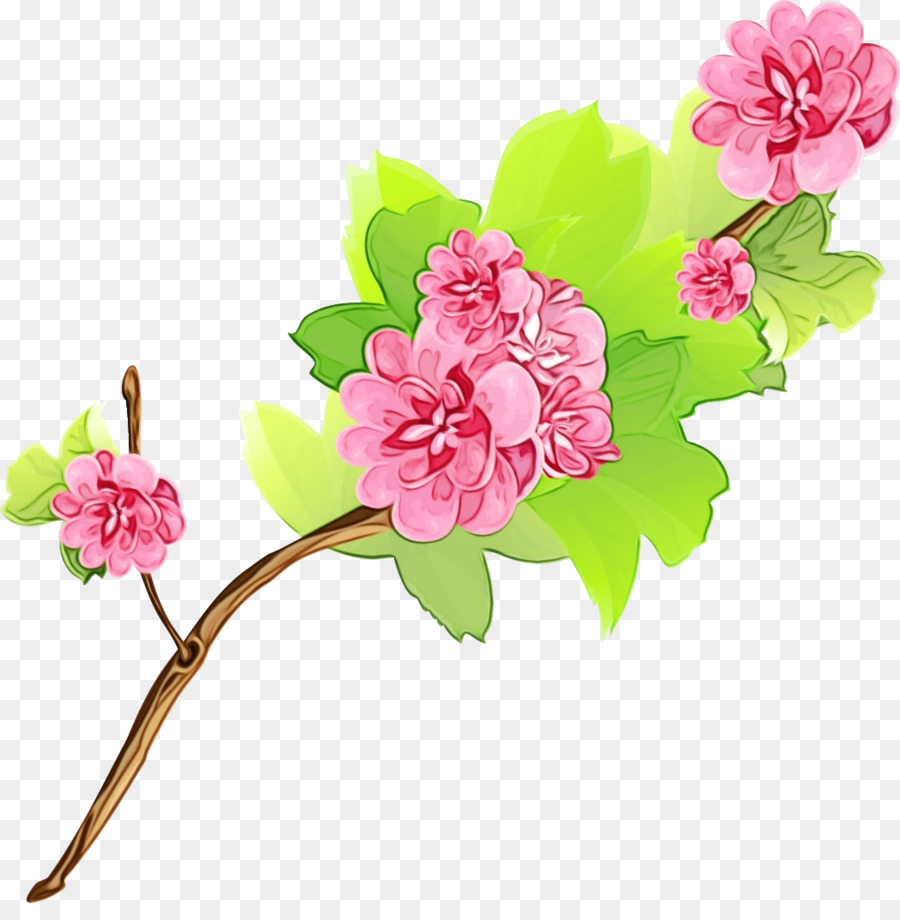 Desain Bunga，Keluarga Mawar PNG