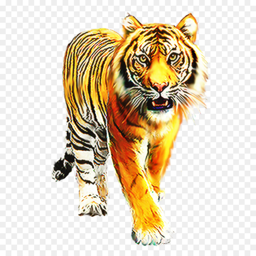 Singa Bergaris，Harimau PNG