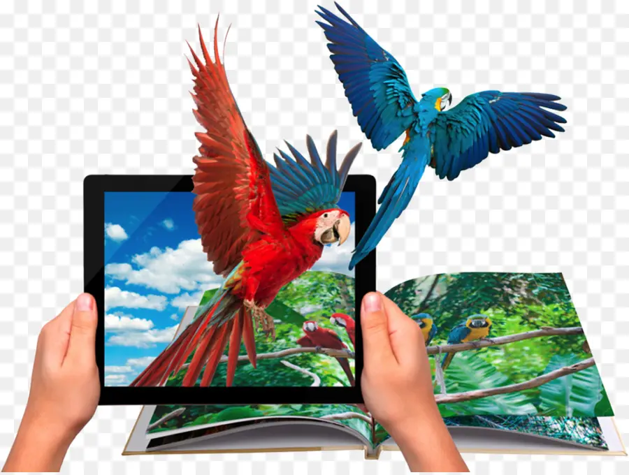 Burung Beo，Tablet PNG